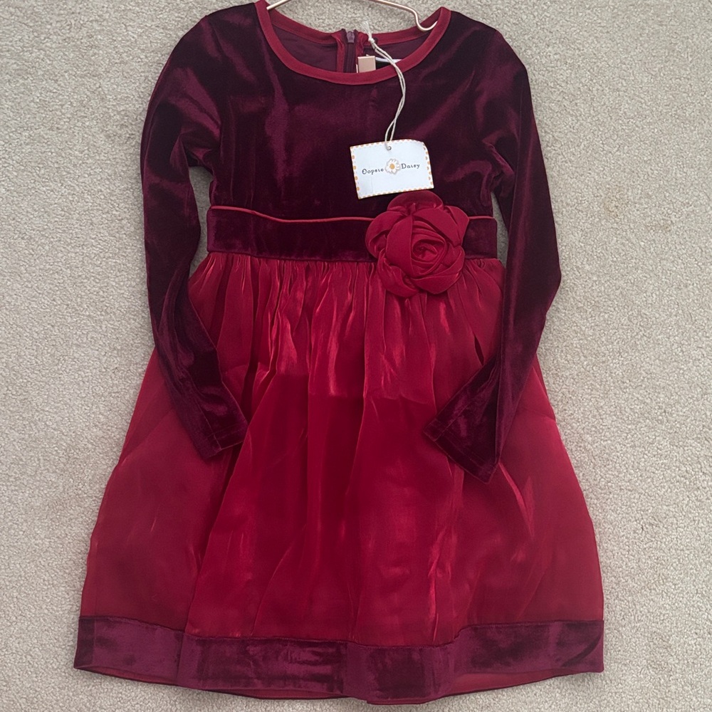 Crayon Kids Burgundy Velvet and Tulle Dress
